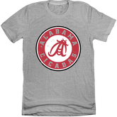 The Alabama Cicadas Football Team Tee